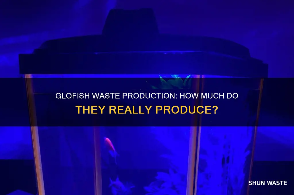 do glofish produce a lot of waste