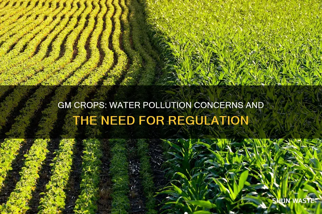 do gm crops pollute water