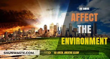 GMOs and the Environment: Impacts, Myths, and Sustainable Solutions