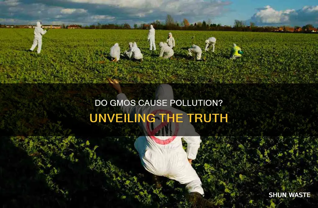 do gmos cause pollution