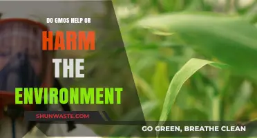 GMOs and the Environment: Unraveling the Benefits and Potential Risks