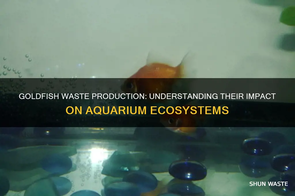 do goldfish produce a lot of waste
