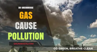 Greenhouse Gases: Climate Change or Environmental Pollution?