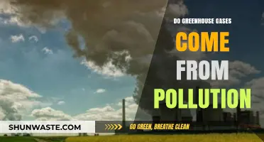 Greenhouse Gases: Pollution's Impact on Our Planet