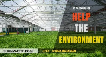 Greenhouses: Eco-Friendly Solutions for Sustainable Agriculture and Climate Action