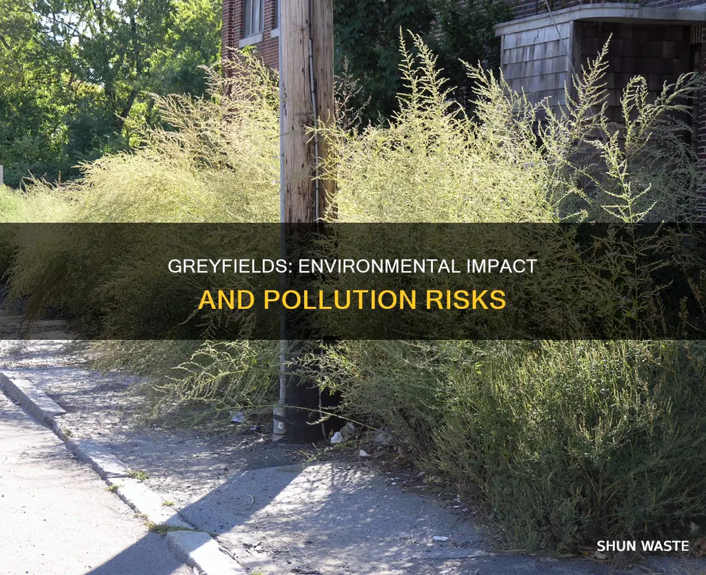 do greyfields pollute the environment