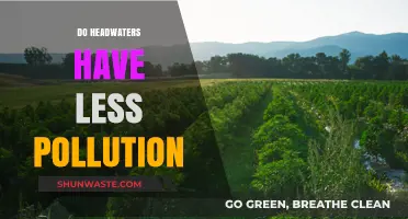Headwaters: Pollution-Free Sources of Fresh Water?