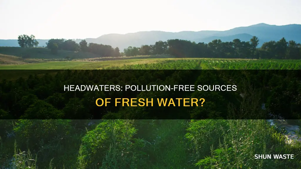 do headwaters have less pollution