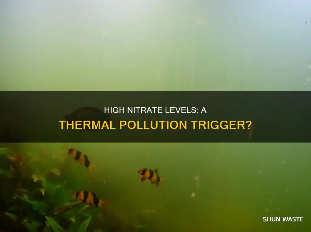 do high nitrate levels create thermal pollution