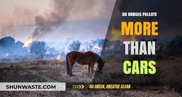 Horse vs Car: Who Pollutes More?
