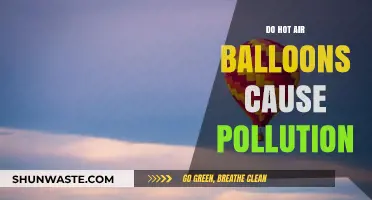 Hot Air Balloons: Eco-Friendly or Environmental Hazards?