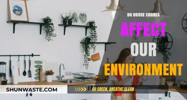 Household Chores: Unseen Environmental Impact and Sustainable Alternatives