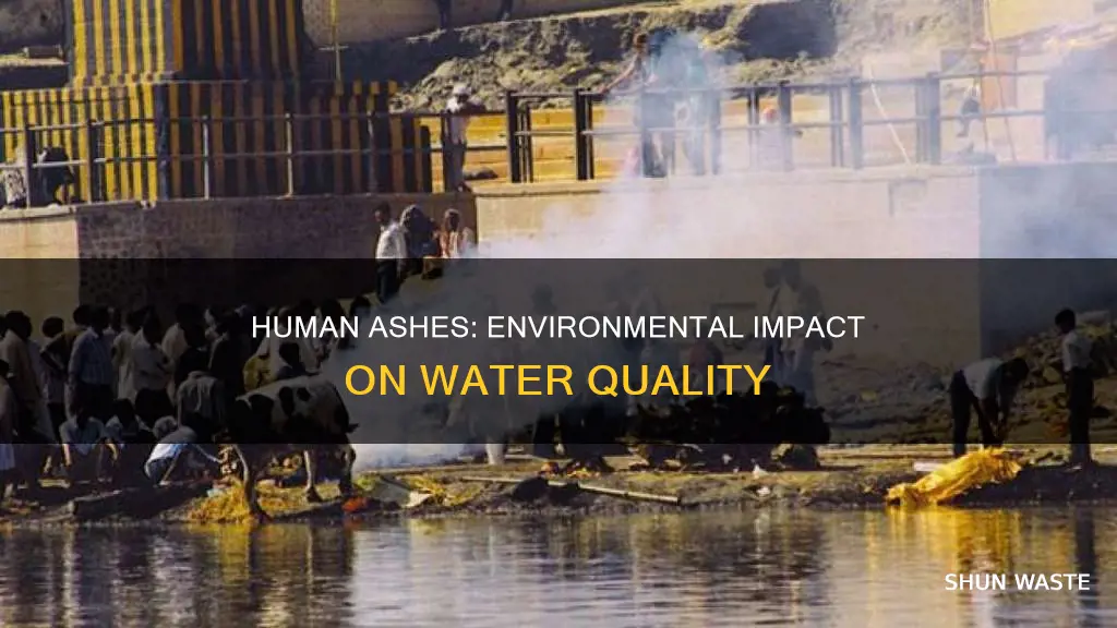 do human ashes pollute water