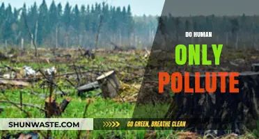 Human Impact: Pollution and Beyond