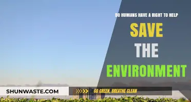 Human Responsibility: Upholding Our Right to Save the Environment