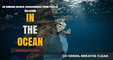 Ocean Plastic Pollution: Harming Humans and the Environment
