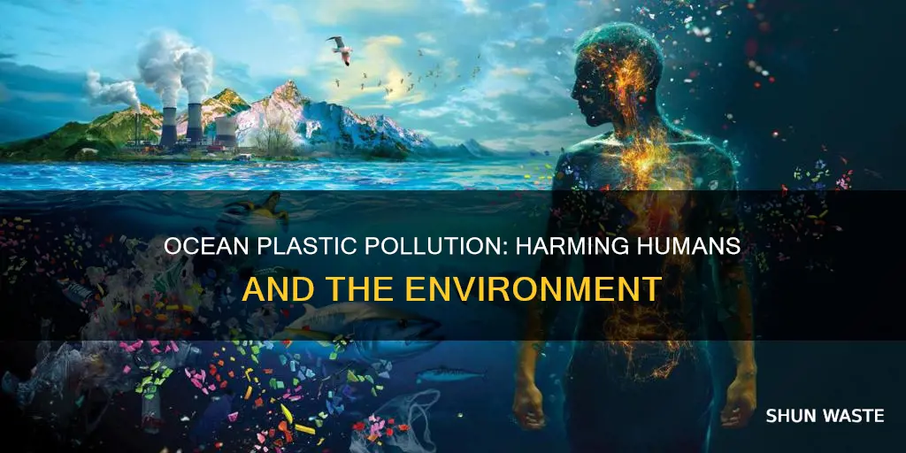 do humans recieve consequneces from plastic pollution in the ocean
