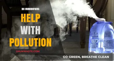 Humidifiers: Pollution Solution or Just Hot Air?