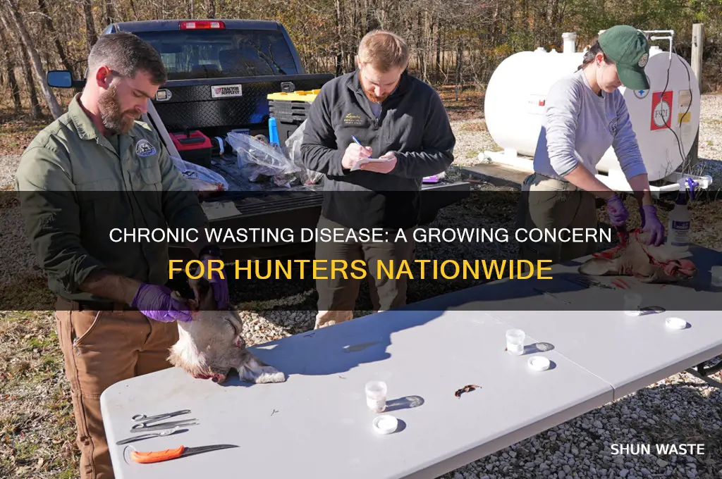 do hunters have to worry about chronic wasting disease