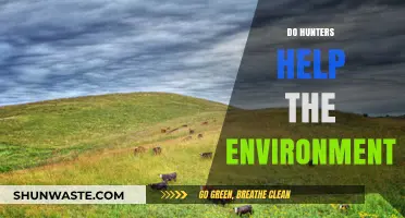 Hunting's Role in Conservation: Balancing Wildlife and Ecosystem Health