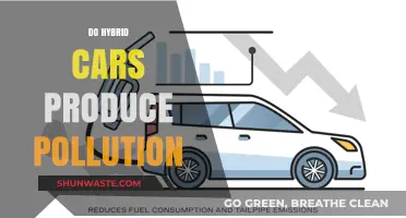 Hybrid Cars: Pollution-Free or Not?