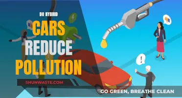 Hybrid Cars: Pollution Solution or Environmental Hype?