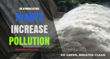 Hydroelectric Plants: Pollution Paradox?