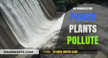 Hydroelectric Power Plants: Pollution or Progress?