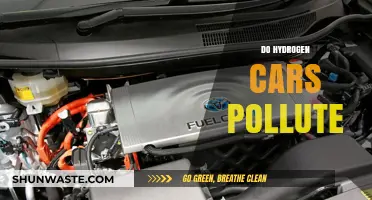 Hydrogen Cars: Clean Energy or Polluting the Planet?