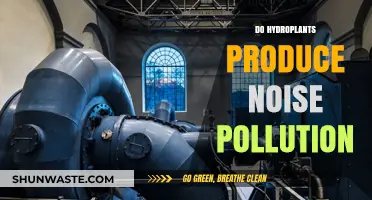 Hydro Plants: Noisemakers or Silent Energy Producers?
