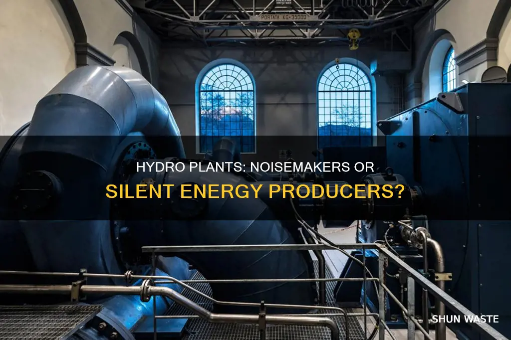 do hydroplants produce noise pollution