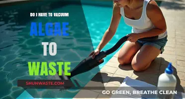 Vacuuming Algae to Waste: Necessary Step or Optional Task?