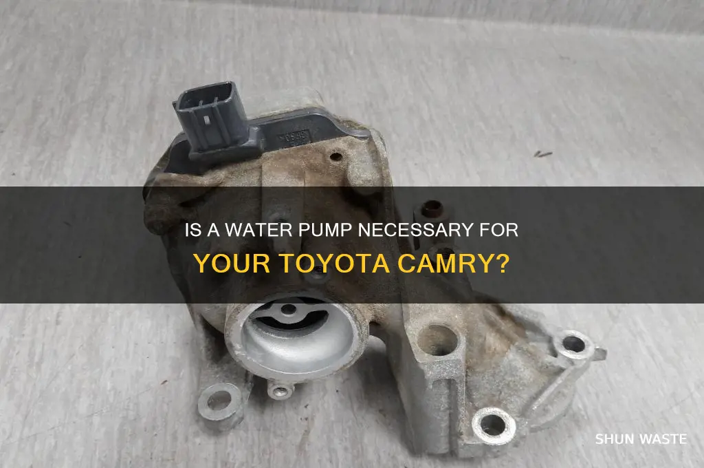 do i really need a waster pump camry