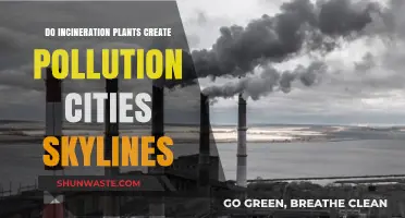 Incineration Plants: Do They Pollute Our Cities?
