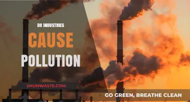 Industrial Pollution: A Necessary Evil or a Preventable Issue?