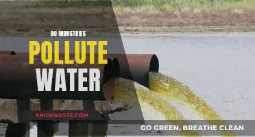 Water's Dark Secret: The Hidden Cost of Industrial Pollution