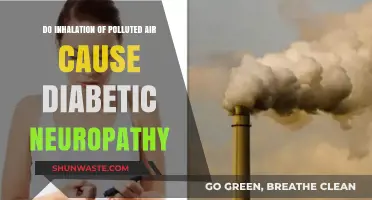 Breathing Trouble: Uncover the Link Between Air Pollution and Diabetic Neuropathy