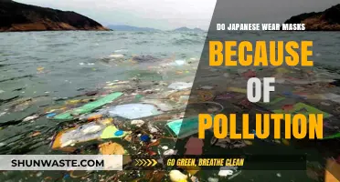 Why Do Japanese Wear Masks? Pollution and Health