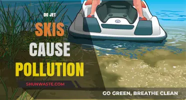 Jet Ski's Environmental Impact: Unveiling the Pollution Truth