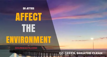 Jetties' Environmental Impact: Assessing Coastal Changes and Ecosystem Effects