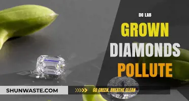 Lab-Grown Diamonds: Eco-Friendly or Polluting the Planet?