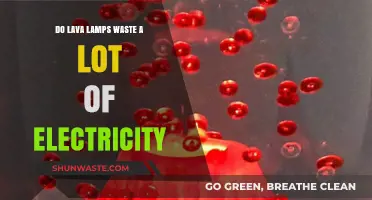 Lava Lamps: Energy Efficiency or Electricity-Wasting Décor?