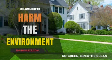 Lawns' Environmental Impact: Do They Benefit or Damage Ecosystems?