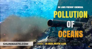 How Laws Protect Our Oceans from Chemical Pollution
