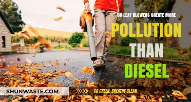 Leaf Blowers: More Polluting Than Diesel?