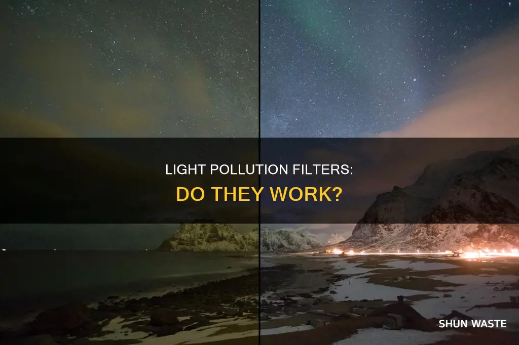 do light pollution filters work