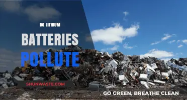 Lithium Batteries: Eco-Friendly Power or Polluting Threat?