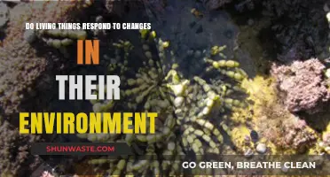How Living Organisms Adapt and Respond to Environmental Changes