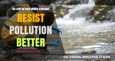Stream Order: Pollution Resistance and Resilience