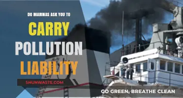 Marina Pollution: Liability Insurance for Boat Owners